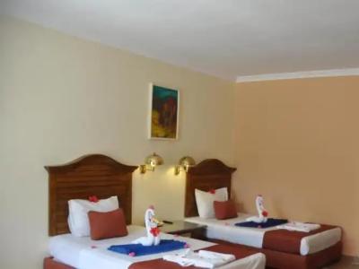 Aladdin Beach Resort - Families and Couples Only - 36