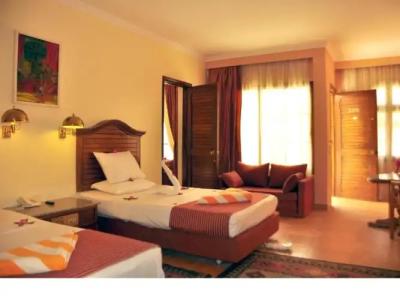 Aladdin Beach Resort - Families and Couples Only - 43