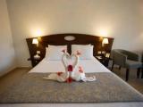 Standard Double room with garden view
