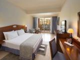 Standard Double room with pool view