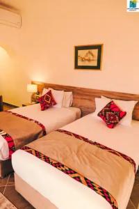 Seti Abu Simbel Lake Resort - 27