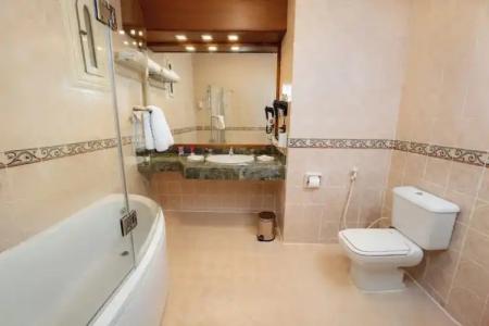 Seti Abu Simbel Lake Resort - 47