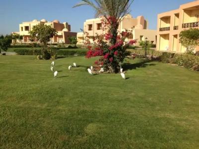 Wadi Lahmy Azur Resort - Soft All-Inclusive - 120