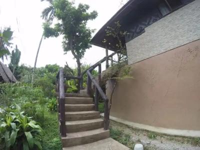 Khao Sok Morning Mist Resort - 5