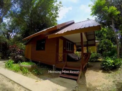 Khao Sok Morning Mist Resort - 21