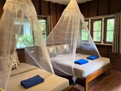 Khao Sok Morning Mist Resort - 28