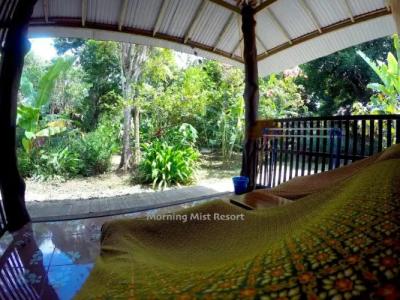 Khao Sok Morning Mist Resort - 13