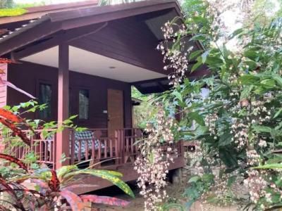 Khao Sok Morning Mist Resort - 18