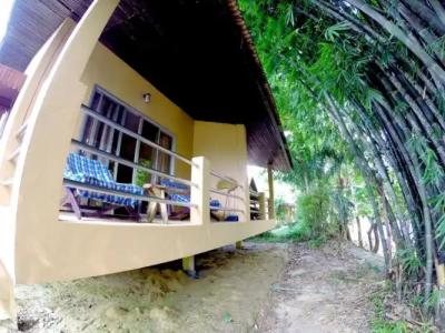 Khao Sok Morning Mist Resort - 67