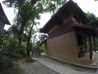 Khao Sok Morning Mist Resort - 54