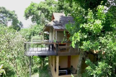 Khao Sok Morning Mist Resort - 58