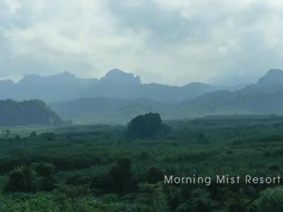 Khao Sok Morning Mist Resort - 12