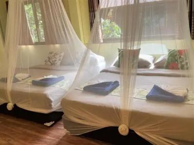 Khao Sok Morning Mist Resort - 101