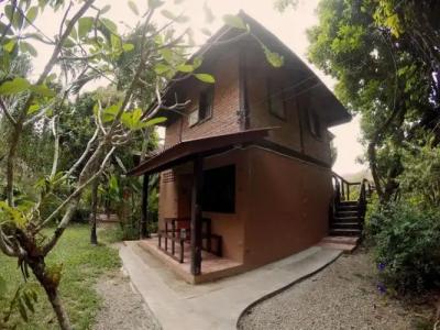 Khao Sok Morning Mist Resort - 55