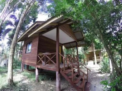 Khao Sok Morning Mist Resort - 2