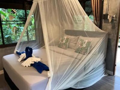 Khao Sok Morning Mist Resort - 36