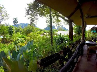 Khao Sok Morning Mist Resort - 6