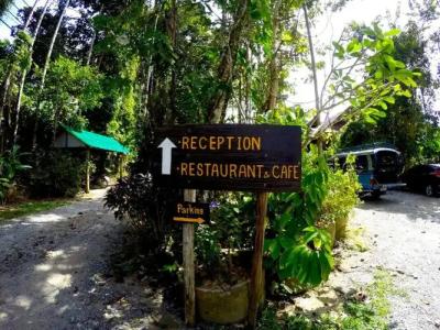 Khao Sok Morning Mist Resort - 11