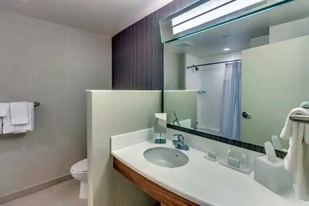 Courtyard by Marriott St. Petersburg Clearwater/Madeira Beach - 117