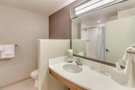 Courtyard by Marriott St. Petersburg Clearwater/Madeira Beach - 101