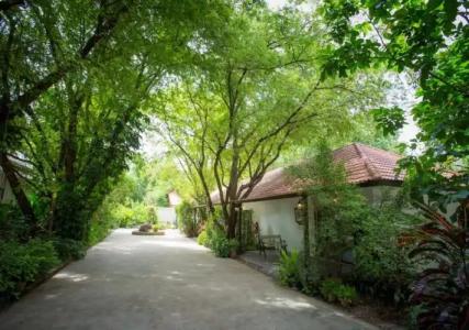 Phuwanalee Resort - 143