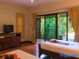 Superior room with garden view