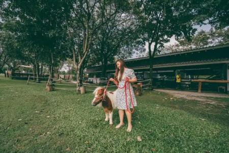 Rancho Charnvee Resort & Country Club Khaoyai - 38