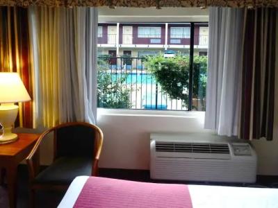 Mardi Gras & Casino - 43