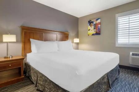 Best Western McCarran Inn - 55