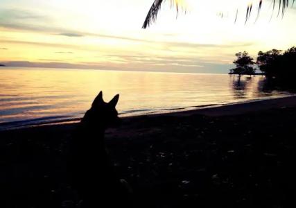 Blessed Koh Chang - 5