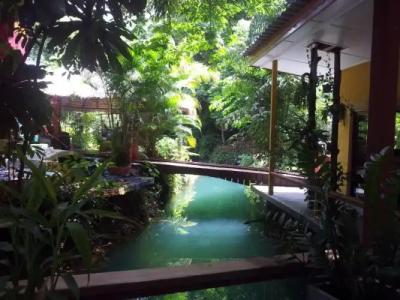 Blessed Koh Chang - 15