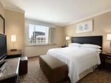 2 Room Double Suite with city view