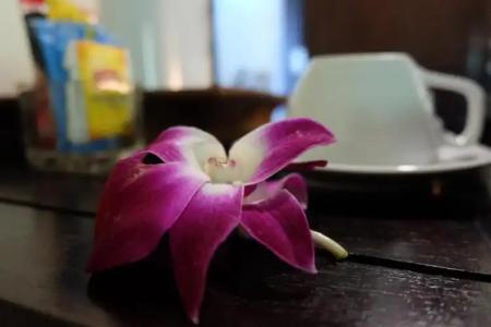 Lanta Mermaid Boutique House - 172