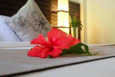 Lanta Mermaid Boutique House - 154