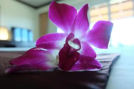Lanta Mermaid Boutique House - 234