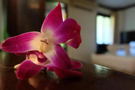 Lanta Mermaid Boutique House - 174