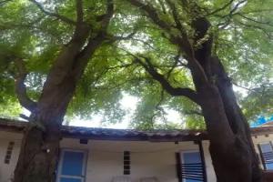 Adang Sea Divers & Eco Lodge, Ko Lipe