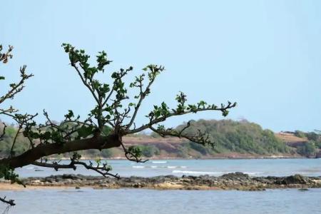 Plub Pla Koh Mak Retreat - 20