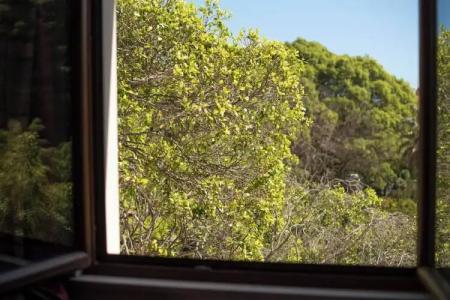 Parco delle Fontane - 108