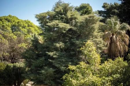 Parco delle Fontane - 49