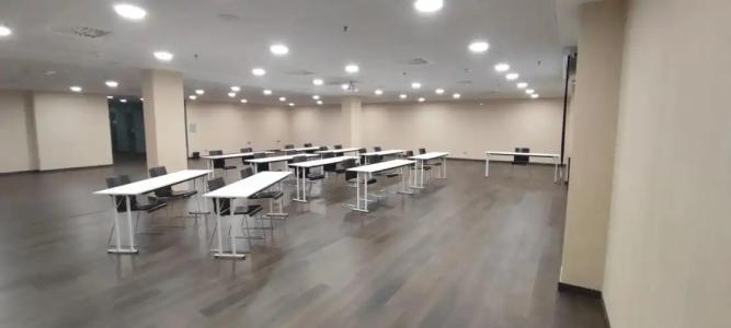 Sercotel Plaza Feria - 34