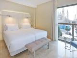 Standard Double room with terrace and with view