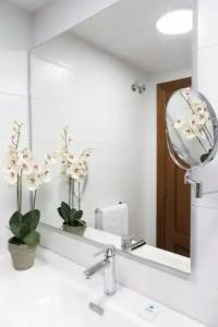 ApartLos Girasoles - 7