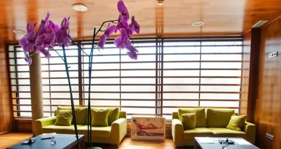 & Spa Real Ciudad De Zaragoza - 16