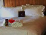 Standard Double room with sea view