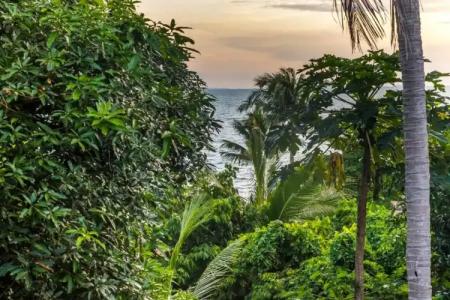 Loyfa-Holina Natural Resort - 53