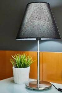 Silken Juan de Austria - 83