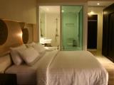 Deluxe room with view