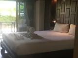 Grand Deluxe Pool Access Double room