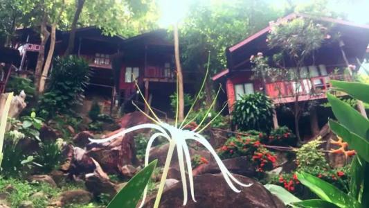 Phi Phi Green Hill Resort - 67